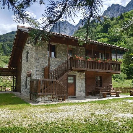 B&B L'Asinello Rampante Arta Terme Exteriér fotografie