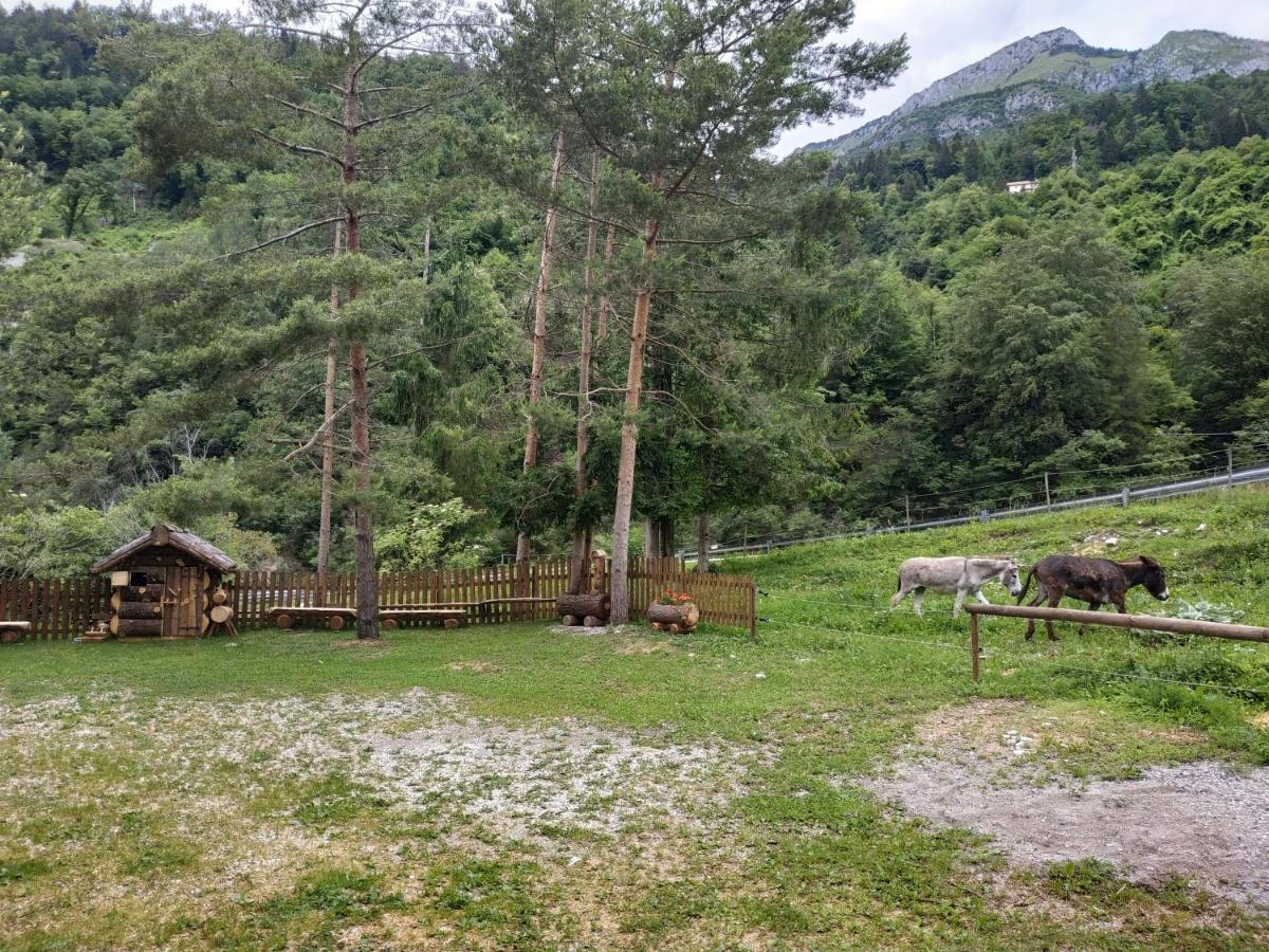 B&B L'Asinello Rampante Arta Terme Exteriér fotografie