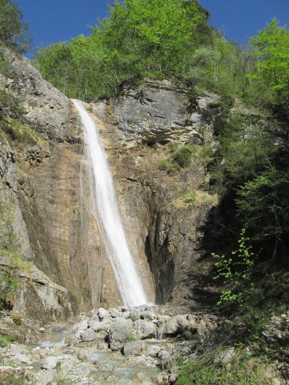 B&B L'Asinello Rampante Arta Terme Exteriér fotografie