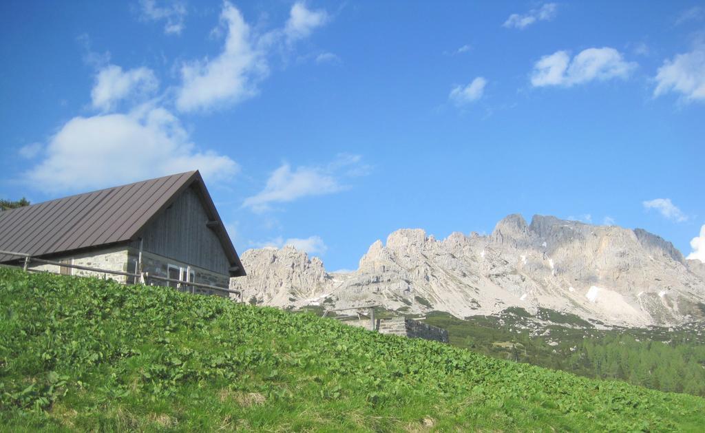 B&B L'Asinello Rampante Arta Terme Exteriér fotografie