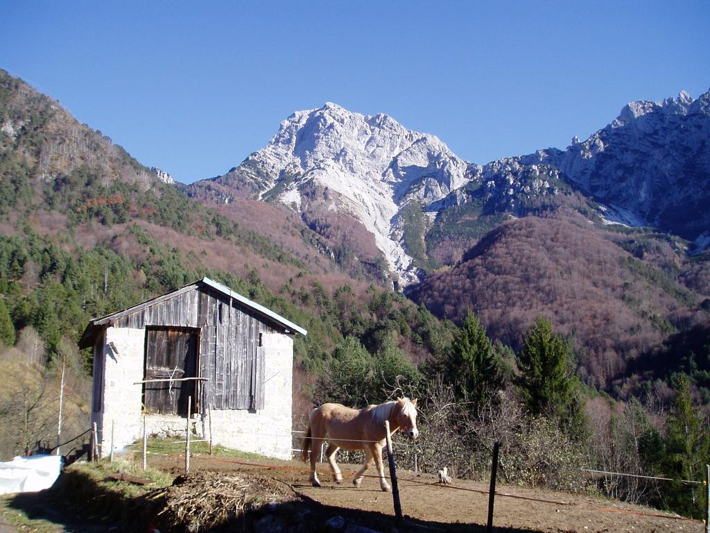 B&B L'Asinello Rampante Arta Terme Exteriér fotografie